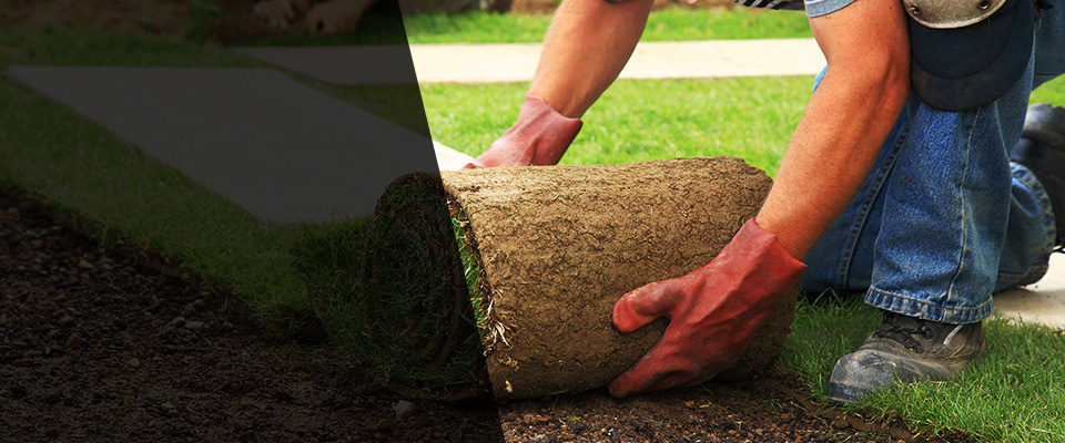 Millbury Landscapers